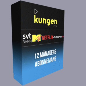 12 MÅNADERS ABONNEMANG